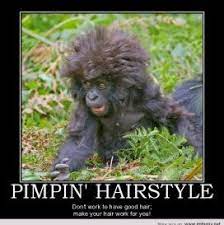 May 26, 2019 · mark twain, one of the greatest american authors and humorists, had a way with words beyond his books and stories.he was also quite sharp with insults and opinions, especially regarding politics and religion. Funny Funny Monkey Pictures With Sayings