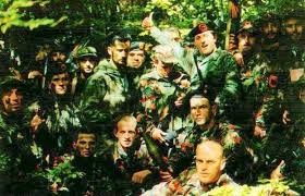 Image result for beteja e koshares