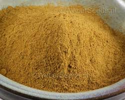 Image result for Voacanga africana