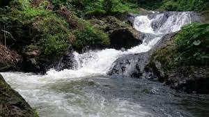 By aisha connelly july 18, 2021 post a comment Sepeda