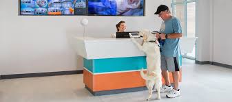 Save on pet food and supplies chewy.com®, huge selection of top brands. Dog Boarding Cat Boarding Dog Daycare In North Myrtle Beach Sc
