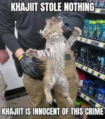 Khajiit Stole Nothing R Skyrimmemes