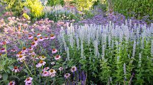 Maybe you would like to learn more about one of these? Top Critter And Deer Resistant Plants Sunset Magazine