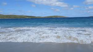 Download Nature Beach Gif