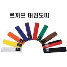태권도 배운지 한달된 6살 태권소년! ì¿ íŒ¡ íƒœê¶Œë„ë 
