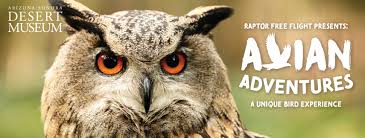 Known as the arizona sonora desert museum, this gorgeous and convenient site. Arizona Sonora Desert Museum Home Facebook