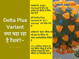 There are currently 51 cases of the new strain in the country, with maharashtra reporting the highest number at 22. Delta Plus Variant Kya Hai à¤¡ à¤² à¤Ÿ à¤ª à¤²à¤¸ à¤µ à¤° à¤¯ à¤Ÿ à¤• à¤¯ à¤¹ Delta Plus Variant à¤­ à¤°à¤¤ à¤® à¤¦ à¤°à¤¹ à¤¦à¤¸ à¤¤à¤• à¤• à¤¤à¤¨ à¤¹ à¤˜ à¤¤à¤• à¤• à¤¯ à¤¹ à¤²à¤• à¤·à¤£ à¤• à¤¸ à¤¬à¤š à¤‡à¤¸à¤¸ Delta Plus Variant How Much
