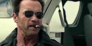 Комедия, мелодрама, 1 ч 50 мин сша • айвен райтман. Of Course Arnold Schwarzenegger S Official Welcome To 2021 Post Included An Animal And A Cigar Cinemablend