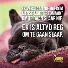 Regmaak Om Te Gaan Slaap Afrikaans Dierbaar Afrikaanse Quotes Goeie Nag Afrikaans