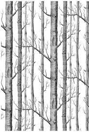 Original Tree Silhouette Black On White Otr 300 Designer Wallcoverings Specialty Wallpaper Fo Birch Tree Wallpaper Tree Wallpaper Bedroom Wood Wallpaper