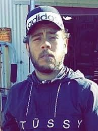 Remi Anderson jailed for Woodville Gardens machete robbery