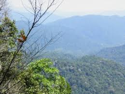 Though it's view is not superb, but it's a moderate trek for training (3 hours to go gunung angsi mount angsi attraction. Gunung Angsi