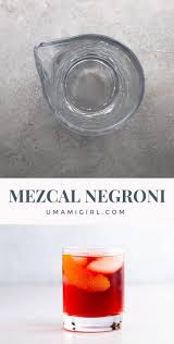 Mezcal Negroni The Best Of All Possible Worlds Video Recipe Video Mezcal Negroni Negroni Recipe