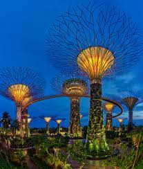 Gardens By The Bay Singapore The Supertree Grove Consists Of Unique Man Made Trees Of Gardens By The Bay Singapore Gardens By The Bay Beautiful Buildings