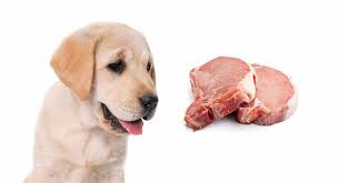 It is totally safe to give a dog almost any kind of pork product. Can Dogs Eat Pork A Guide To Pork And Pork Bones Or Ribs For Dogs