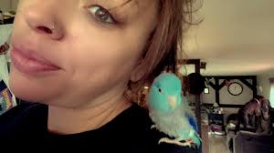 Live in West Virginia will love to open my house for any parrot's messagee  me