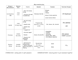Some of the worksheets displayed are 14 organic molecules work, part 1 building a macromolecule all living. Biological Macromolecules Chart Objektiv