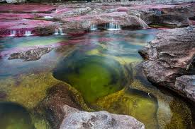 Caño cristales rio de los 7 colores. Hoy Cano Cristales Reabre Sus Puertas Al Mundo Parques Nacionales Naturales De Colombia