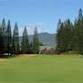 Hawaii Senior Amateur Stroke Play Championship