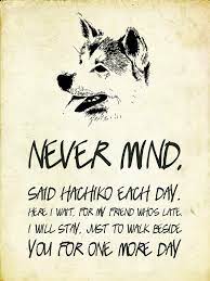 Typography Hachiko Quote Dog Movies Akita Dog Japanese Dogs