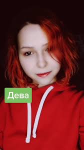 Знаки зодиака: совместимость Дев