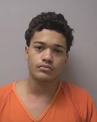 Marathon County Felony Crime Gallery for Aug. 29, 2024