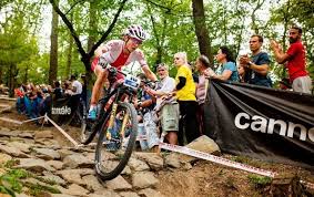 Chciałam w tym roku w tokio. Maja Wloszczowska Artykuly Gazeta Wroclawska