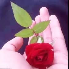 Shubh Mangalvar Shree Ganesh Bhakti Video Status Good Morning Video Whatsapp Dp Images Good Morning Gif Whatsapp Dp