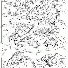 highly detailed and realistic crocodile coloring page letscolorit com dessin coloriage a imprimer lettre c coloriages pour tout-petits