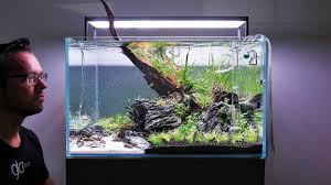 I don't really cover freshwater topics much, but i the freshwater planted community is very fascinating and can have some crazy good looking setups. How To Set Up A Beautiful Nature Aquarium Aquascape Youtube