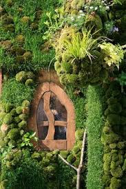 Check spelling or type a new query. 94 Irish Moss Ideas Plants Moss Garden Irish Moss