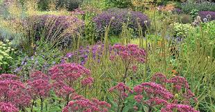 Maybe you would like to learn more about one of these? Early Autumn In An English Garden Finegardening English Garden English Landscape Garden Secret English Garden
