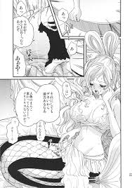 ワンピースエロ同人誌】魔女のクスリで人間になったしらほしが泡にならないためにルフィとエロいことしてるｗｗｗご奉仕フェラで勃起したゴムゴムの生ちんぽでパイパン処女まんこを突かれまくってだいしゅきホールドで中出し絶頂しちゃってるおｗｗｗ【無料虹エロ漫画  ...