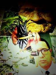 SAMPLE BASED LIFE VOL. 1