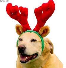Holiday Christmas Antlers Costume For Dog Puppy Antler Hat With Ears Adjustable Dog Christmas Clothes Dog Christmas Gifts Dog Gifts