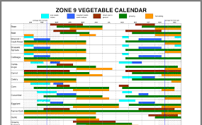 Find perennial flowers, seeds & plants in a variety of colors, textures, forms, and fragrances available at affordable prices from burpee. Zone 9 Planting Guide Small Space Gardening Zone 9 My Happy Place