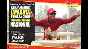 Pembayaran mudah, pengiriman cepat & bisa cicil 0%. Burung Merpati 1 Miliar Bagaimana Tren Hobi Muncul Di Masyarakat Tirto Id