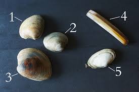 We did not find results for: All About Clams Seafood Varieties