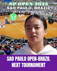 I would like to share with you this freehand drawing I made with ink pens,  markers and colored pencils: the Tennis Tournament Rio Open 2020 (in Rio de  Janeiro