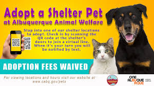 Congratulations on expanding your family, we're so glad you've chosen the all of our dogs receive important medical care while they are with us (see our adoption faq page to see. Albuquerque Animal Welfare Publicacoes Facebook