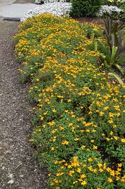 Image result for Bidens