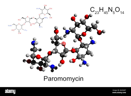 Image result for Paromomycin