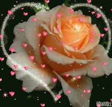 Pikpng encourages users to upload free artworks without copyright. Flower Animation Gifs Tenor