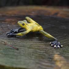Zugegeben kröten sehen nicht gerade sehr schön aus. Bunte Froschfigur Fur Den Garten Aus Bronze