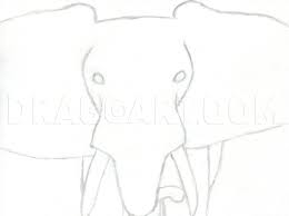 How to make your character face forward in roblox tutorial. How To Draw An Elephant Head African Elephant Step By Step Drawing Guide By Finalprodigy Dragoart Com