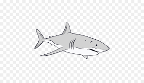 Great white shark by kamodin28 on deviantart. Great White Shark Background