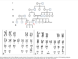 Figure 1 From Fetal Loss A Genetic Insight Of The De Novo