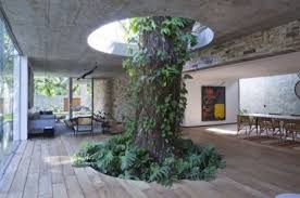 Tree houses for the child within. Arboreal Architecture 14 Houses Built Around Within Trees Urbanist