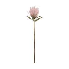 Explore a wide range of the best fake flowers on aliexpress to find one that suits you! King Protea Artificial Flower Kmart Australia S Sum Aut 2019 Drop Artificial Plants Outdoor Artificial Garden Plants Artificial Plants Indoor