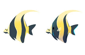 The rainbow fishauthor & illustrator: How To Draw A Fish Easily Adobe